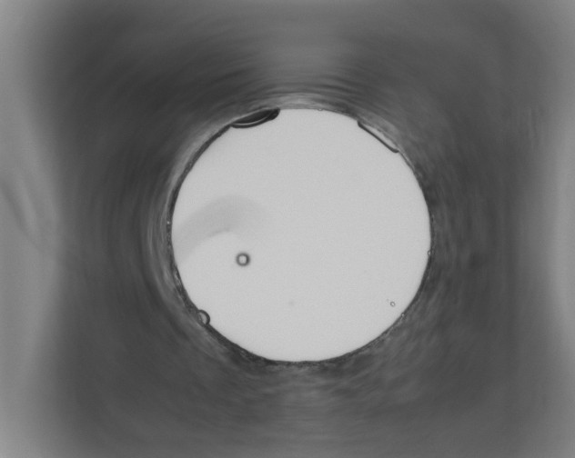 X0000111860289200908201303