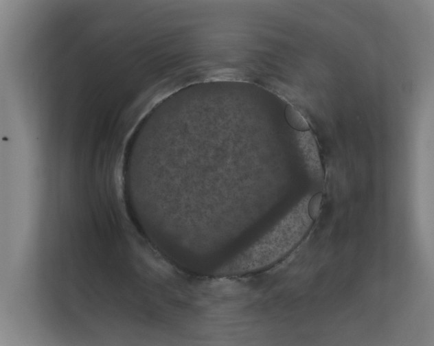 X0000111860290200908201303