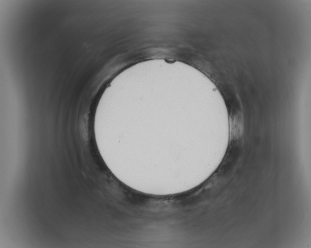X0000111860291200908201303
