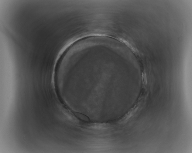X0000111860292200908201303