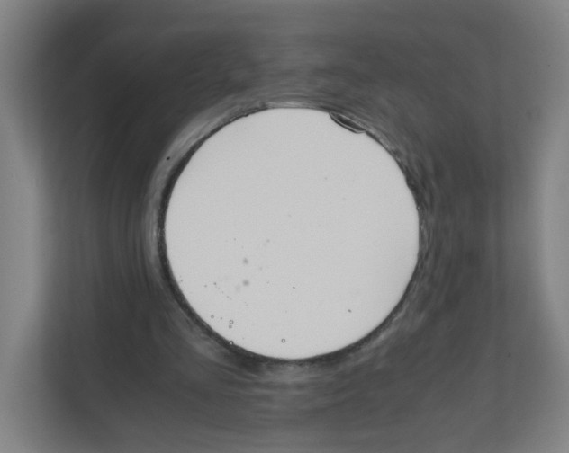 X0000111860293200908201303