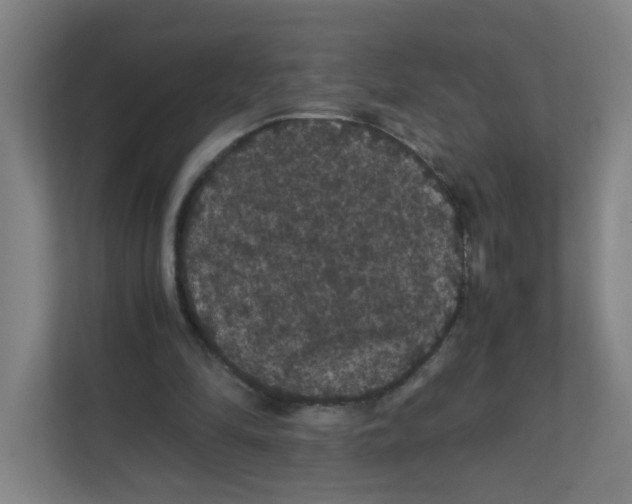 X0000111860294200908201303