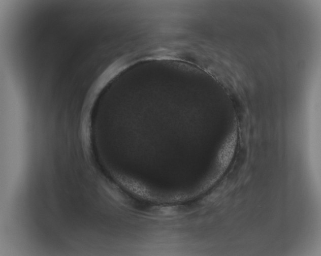 X0000111860295200908201303