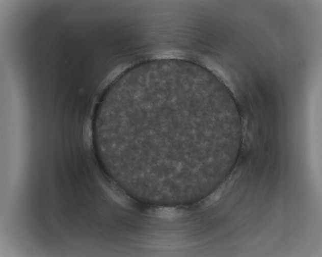 X0000111860298200908201303