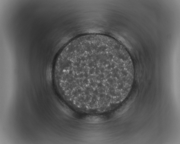 X0000111860299200908201303