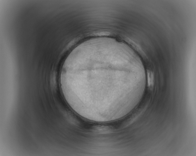 X0000111860300200908201303