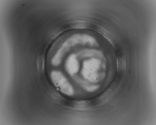 X0000111860301200908201303
