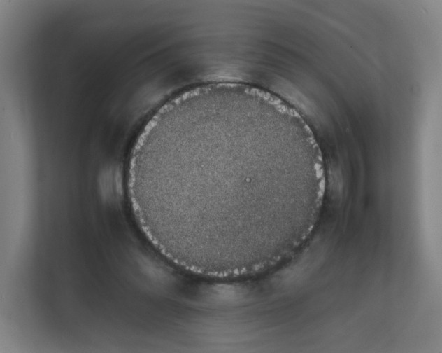 X0000111860302200908201303