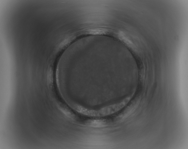 X0000111860303200908201303
