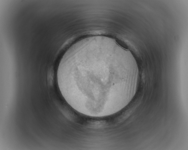 X0000111860304200908201303