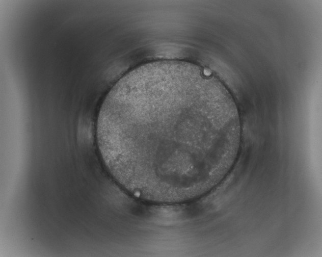 X0000111860305200908201303