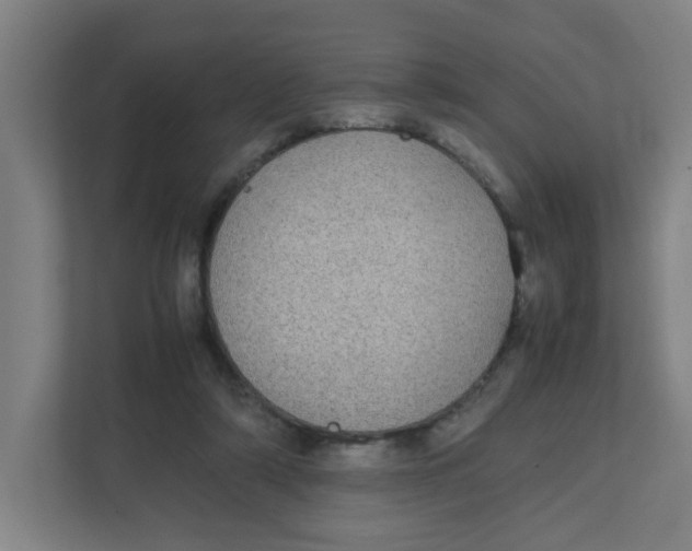 X0000111860306200908201303