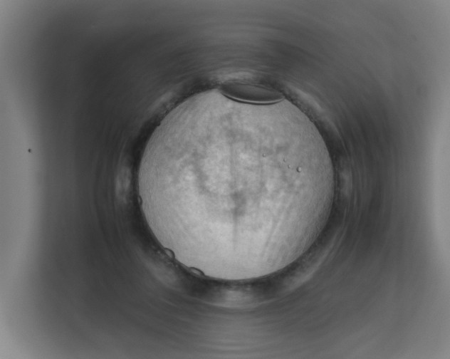 X0000111860308200908201303