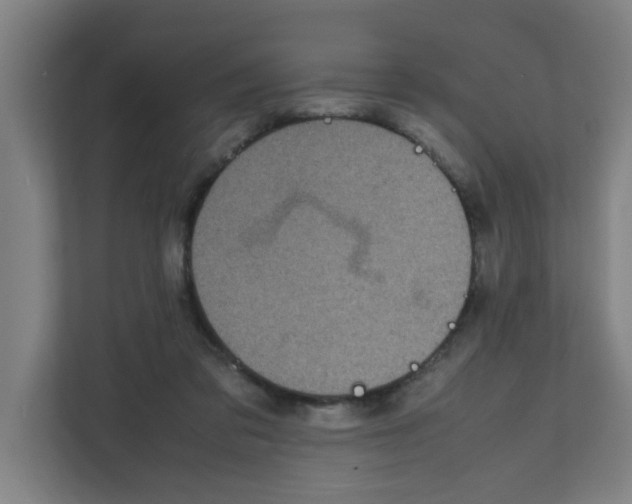 X0000111860309200908201303