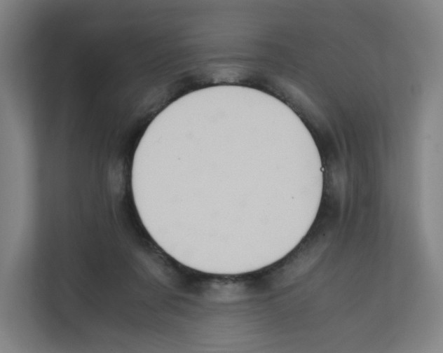 X0000111860311200908201303