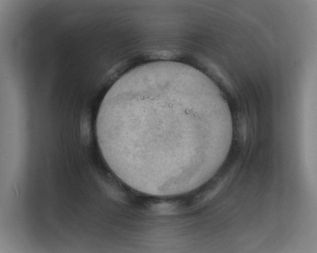X0000111860312200908201303