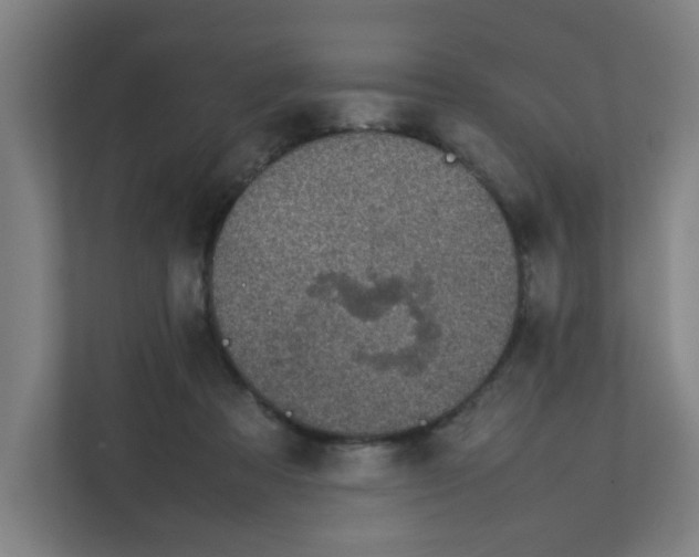 X0000111860313200908201303