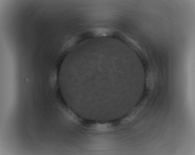 X0000111860314200908201303