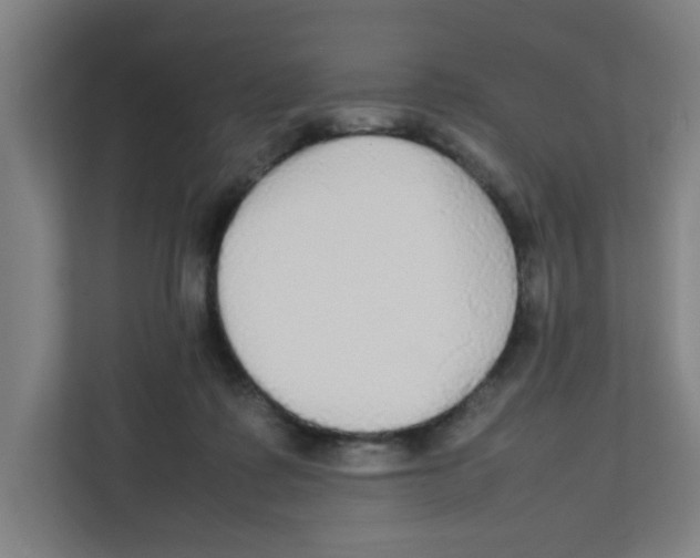 X0000111860315200908201303