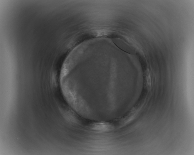 X0000111860316200908201303