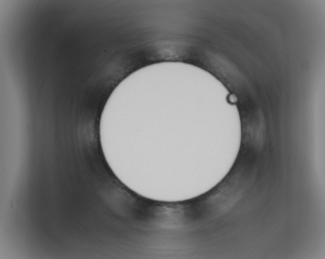 X0000111860317200908201303