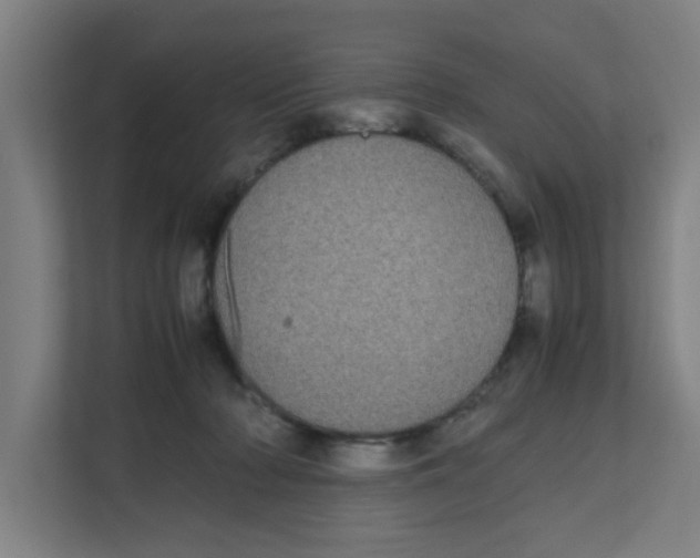 X0000111860318200908201303