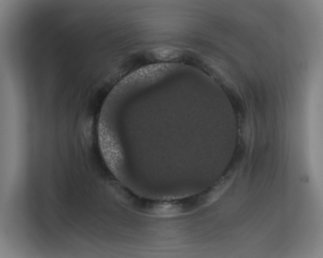 X0000111860319200908201303