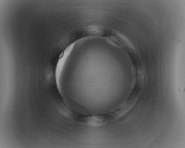 X0000111860320200908201303