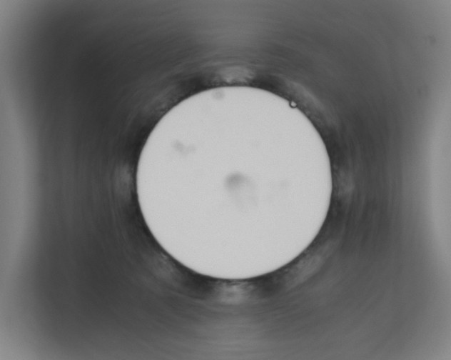 X0000111860321200908201303