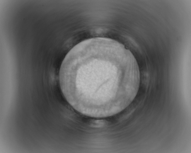 X0000111860324200908201303