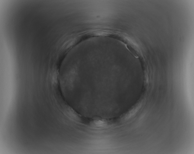 X0000111860325200908201303