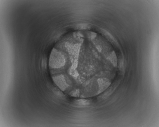 X0000111860326200908201303