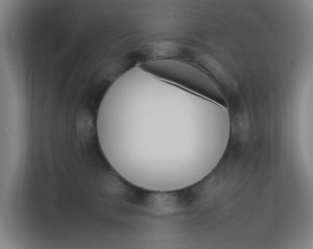 X0000111860327200908201303