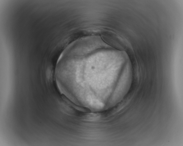 X0000111860328200908201303
