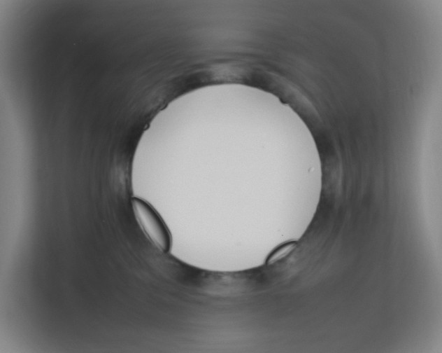 X0000111860329200908201303