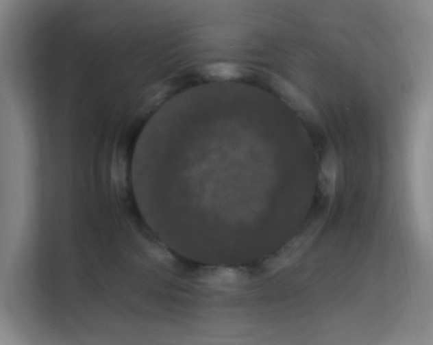 X0000111860330200908201303