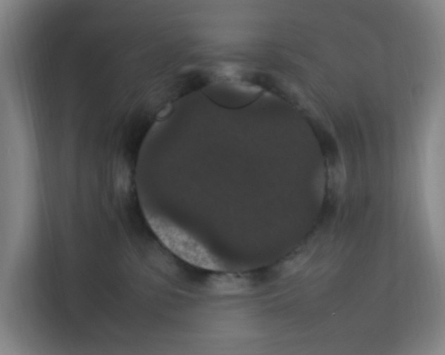 X0000111860331200908201303