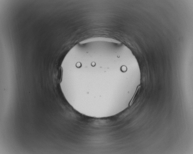X0000111860332200908201303