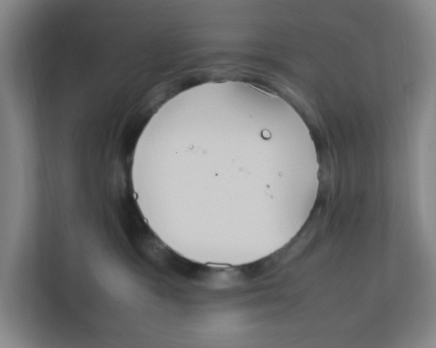 X0000111860333200908201303