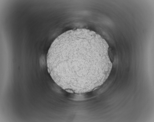 X0000111860335200908201303