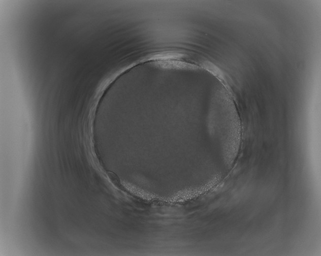 X0000111860337200908201302