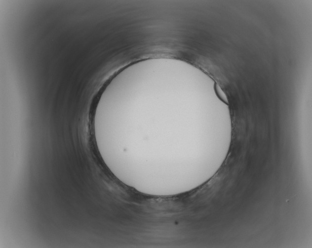 X0000111860338200908201302