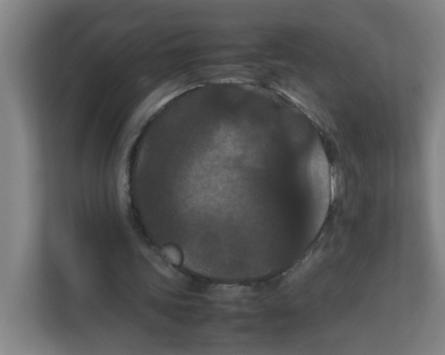 X0000111860339200908201302