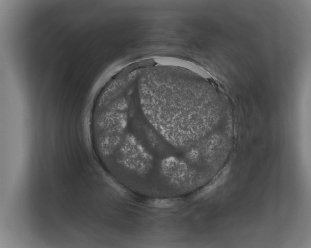 X0000111860341200908201302