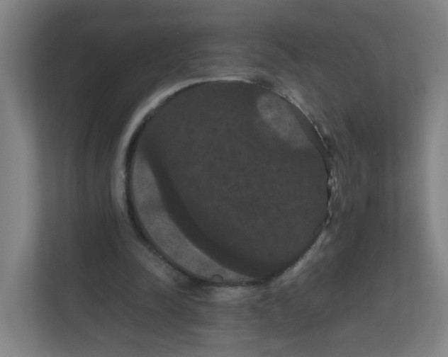 X0000111860342200908201302