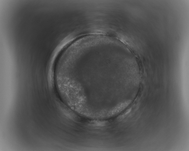 X0000111860343200908201302
