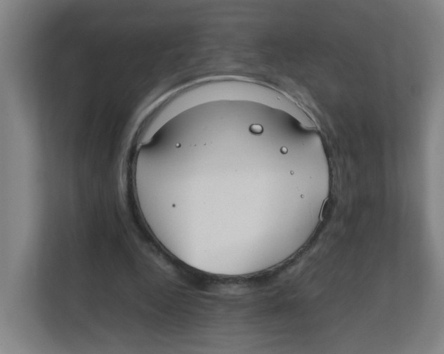 X0000111860344200908201302