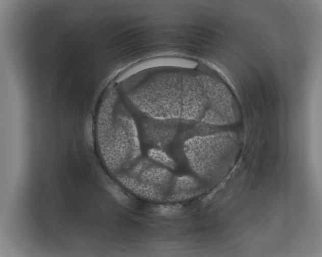 X0000111860345200908201302
