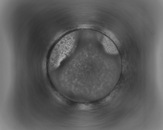 X0000111860346200908201302