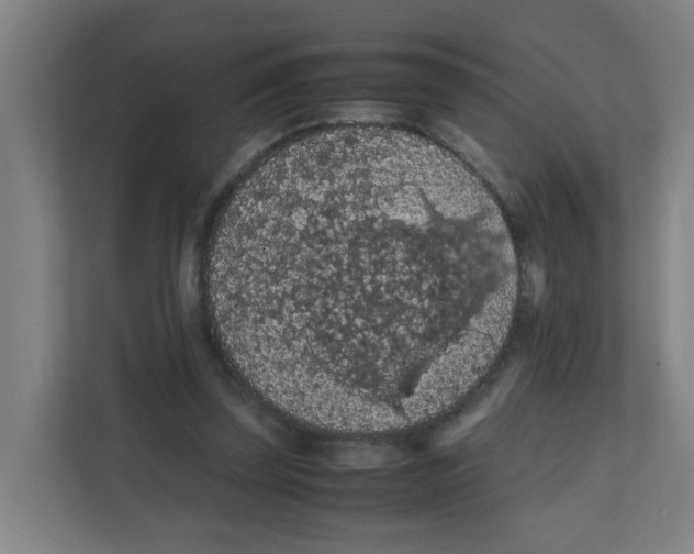 X0000111860347200908201302